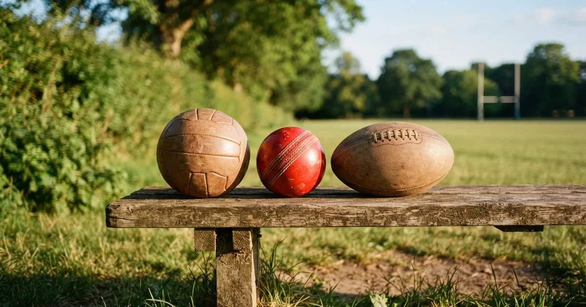 Three balls of different kinds side by side on a wooden bench